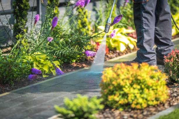  Collinsville, CT Pressure Washing Pros